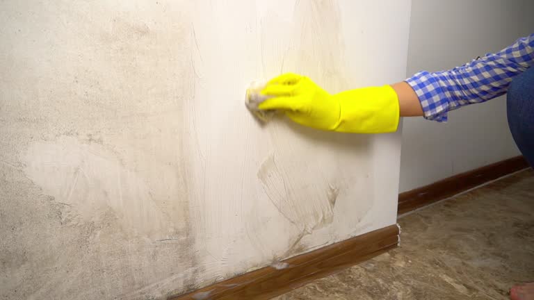 Best Mold Prevention Services  in Cross Roads, TX